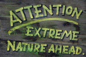 Capilano Suspension Bridge Sign Extreme Nature Ahead