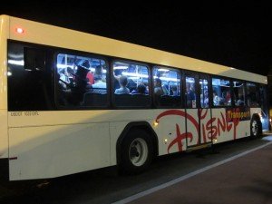 Disney Buses