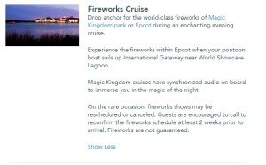 Disney Fireworks Cruise